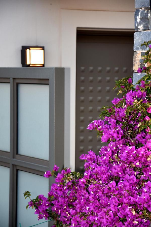 Ελιάδες - Eliades Apartments Каристос Экстерьер фото